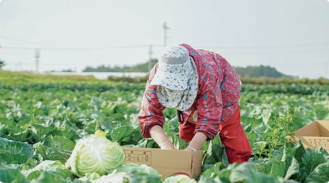 生産者