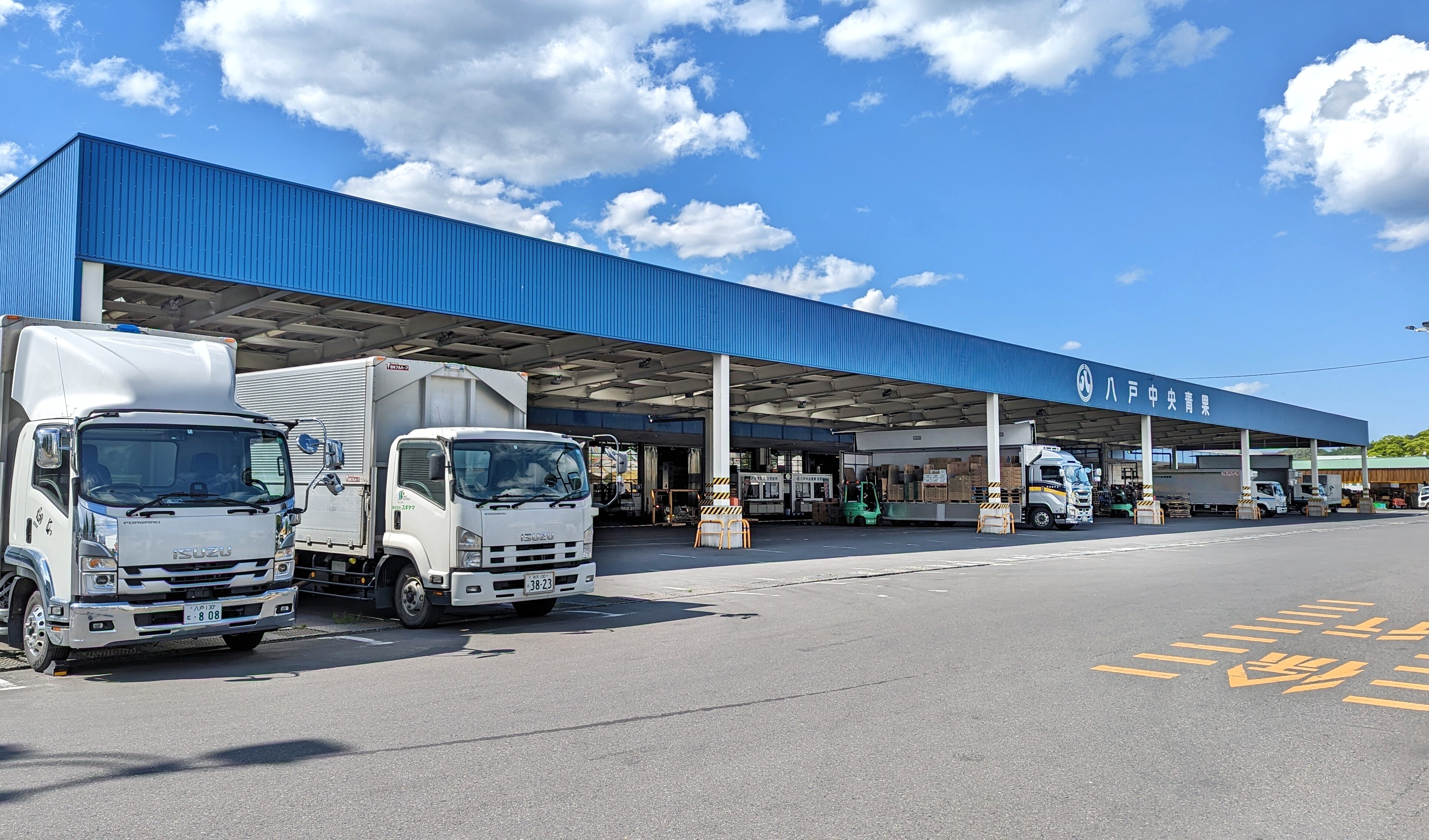 八戸市中央卸売市場　荷捌き上屋